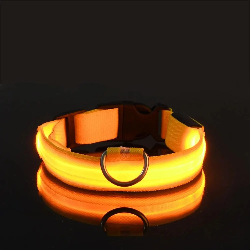 Nylon LED Night Safety Flashing Glow In The Dark Dog Leash Dogs Luminous Fluorescent Pet Dog Collar - Paw Academy Store