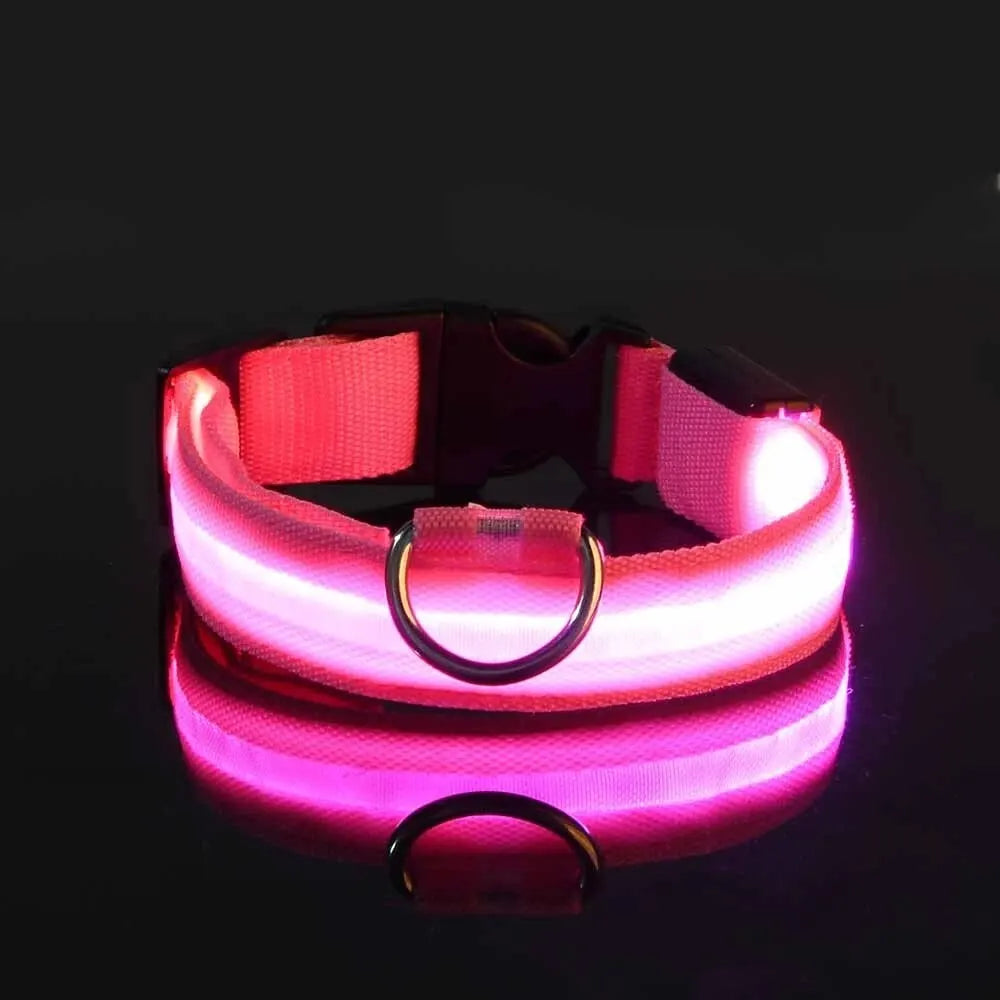 Nylon LED Night Safety Flashing Glow In The Dark Dog Leash Dogs Luminous Fluorescent Pet Dog Collar - Paw Academy Store