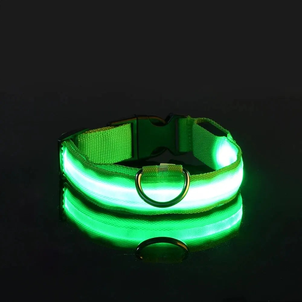 Nylon LED Night Safety Flashing Glow In The Dark Dog Leash Dogs Luminous Fluorescent Pet Dog Collar - Paw Academy Store