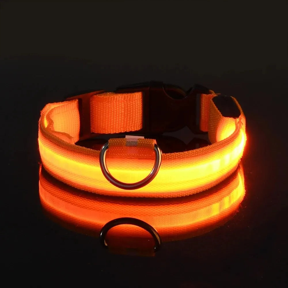 Nylon LED Night Safety Flashing Glow In The Dark Dog Leash Dogs Luminous Fluorescent Pet Dog Collar - Paw Academy Store