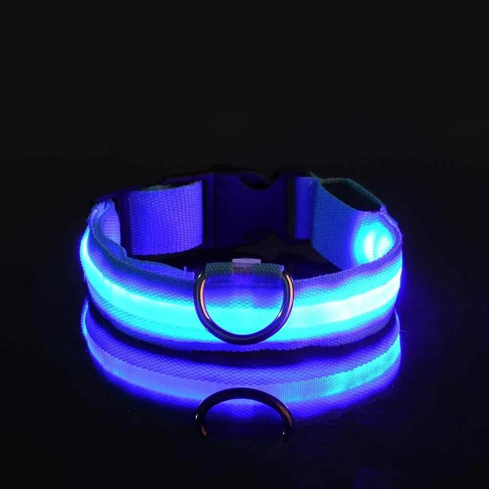 Nylon LED Night Safety Flashing Glow In The Dark Dog Leash Dogs Luminous Fluorescent Pet Dog Collar - Paw Academy Store