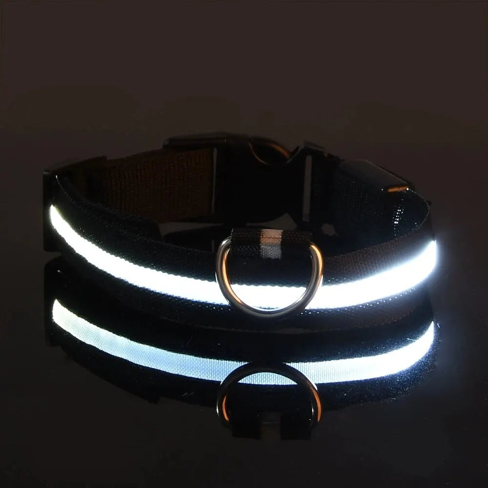 Nylon LED Night Safety Flashing Glow In The Dark Dog Leash Dogs Luminous Fluorescent Pet Dog Collar - Paw Academy Store