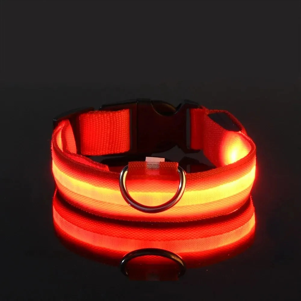 Nylon LED Night Safety Flashing Glow In The Dark Dog Leash Dogs Luminous Fluorescent Pet Dog Collar - Paw Academy Store