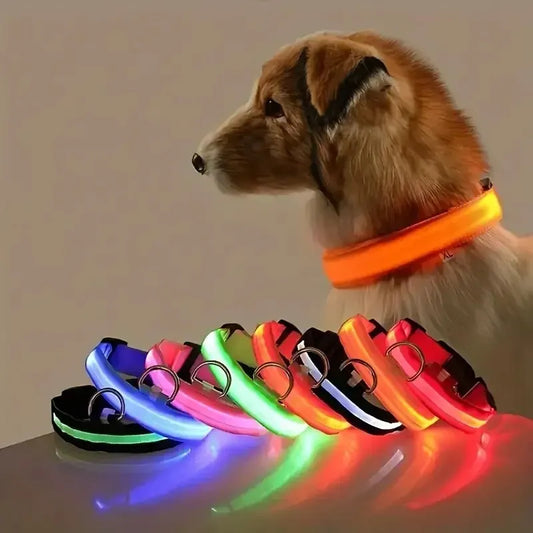 LED Glow-in-the-Dark Dog Leash | Fluorescent Night Safety Collar - Paw Academy Store