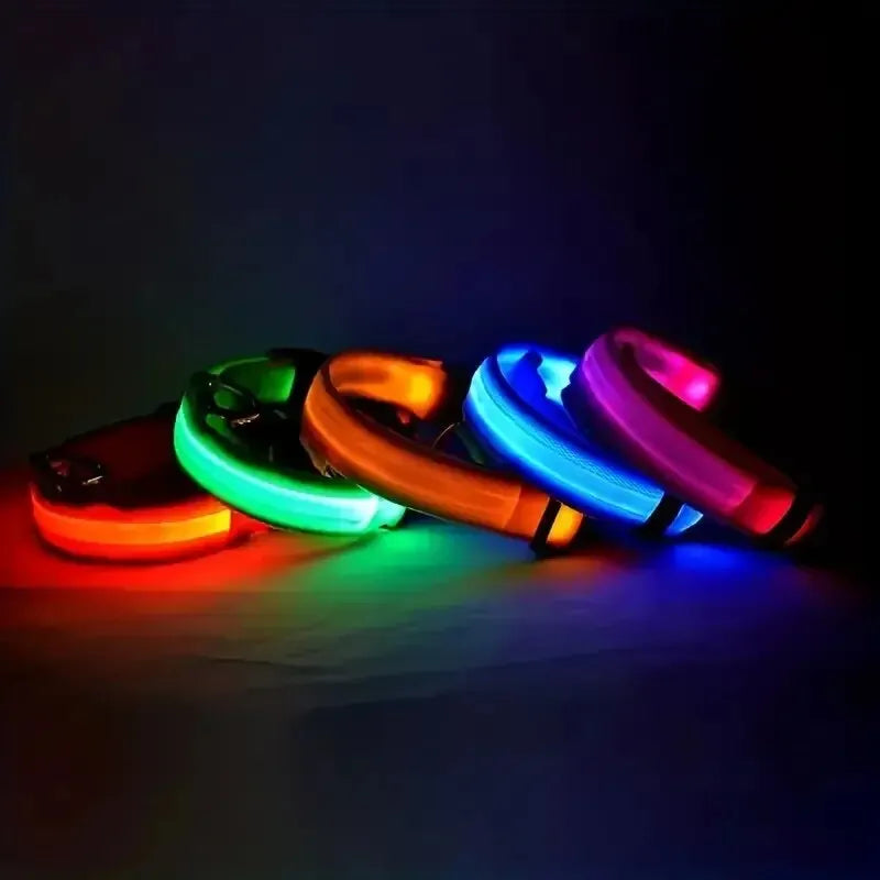 Nylon LED Night Safety Flashing Glow In The Dark Dog Leash Dogs Luminous Fluorescent Pet Dog Collar - Paw Academy Store