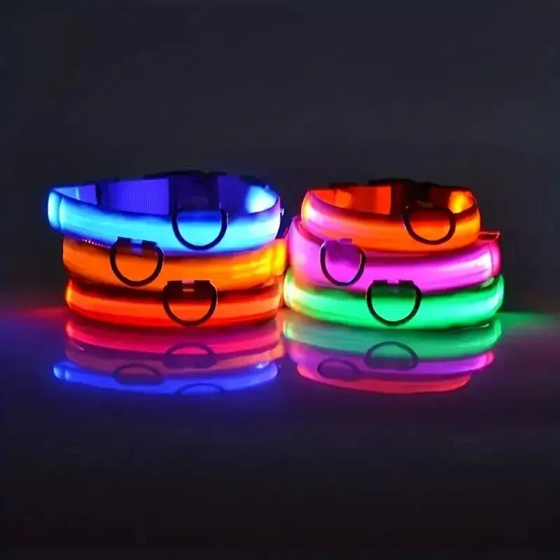 Nylon LED Night Safety Flashing Glow In The Dark Dog Leash Dogs Luminous Fluorescent Pet Dog Collar - Paw Academy Store