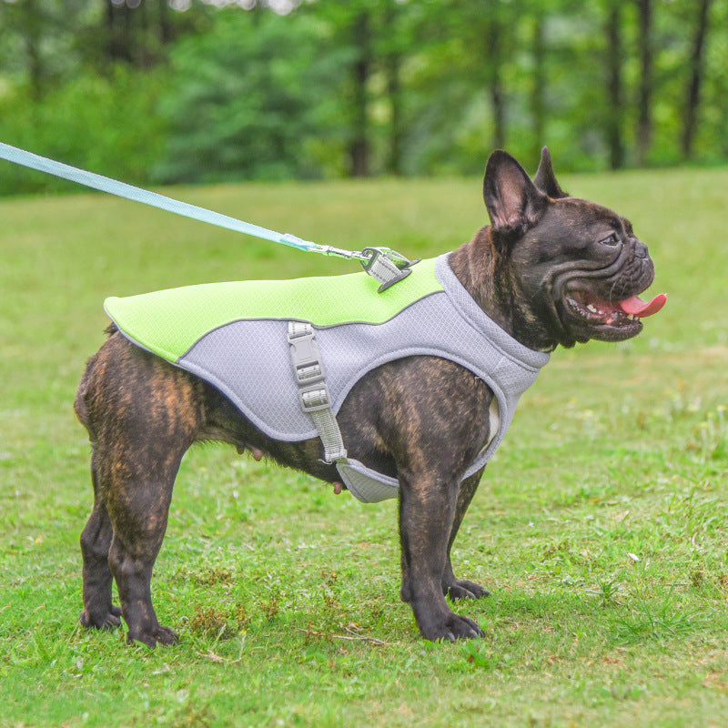 Summer Pet Cooling Vest | Breathable, Sun-Proof Clothing for Dogs - Paw Academy Store